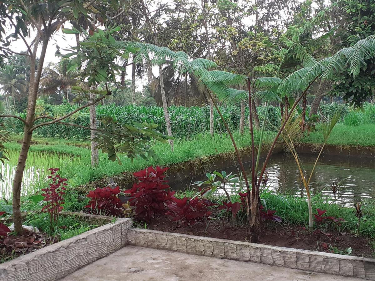 Eltari Homestay Tetebatu Bagian luar foto