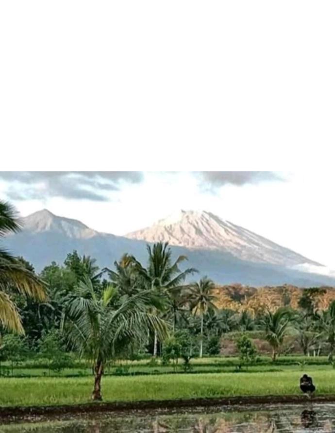Eltari Homestay Tetebatu Bagian luar foto