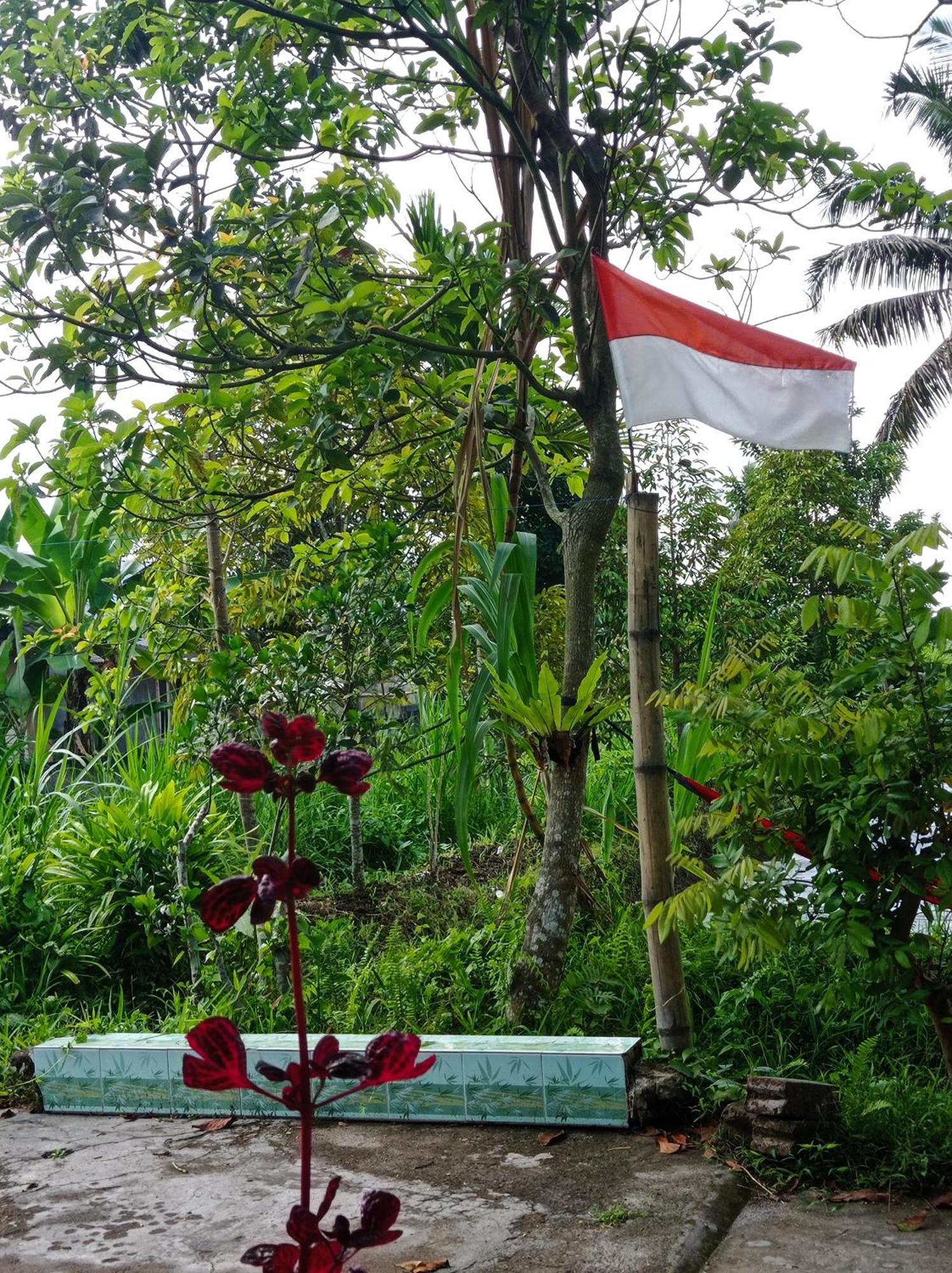 Eltari Homestay Tetebatu Ruang foto