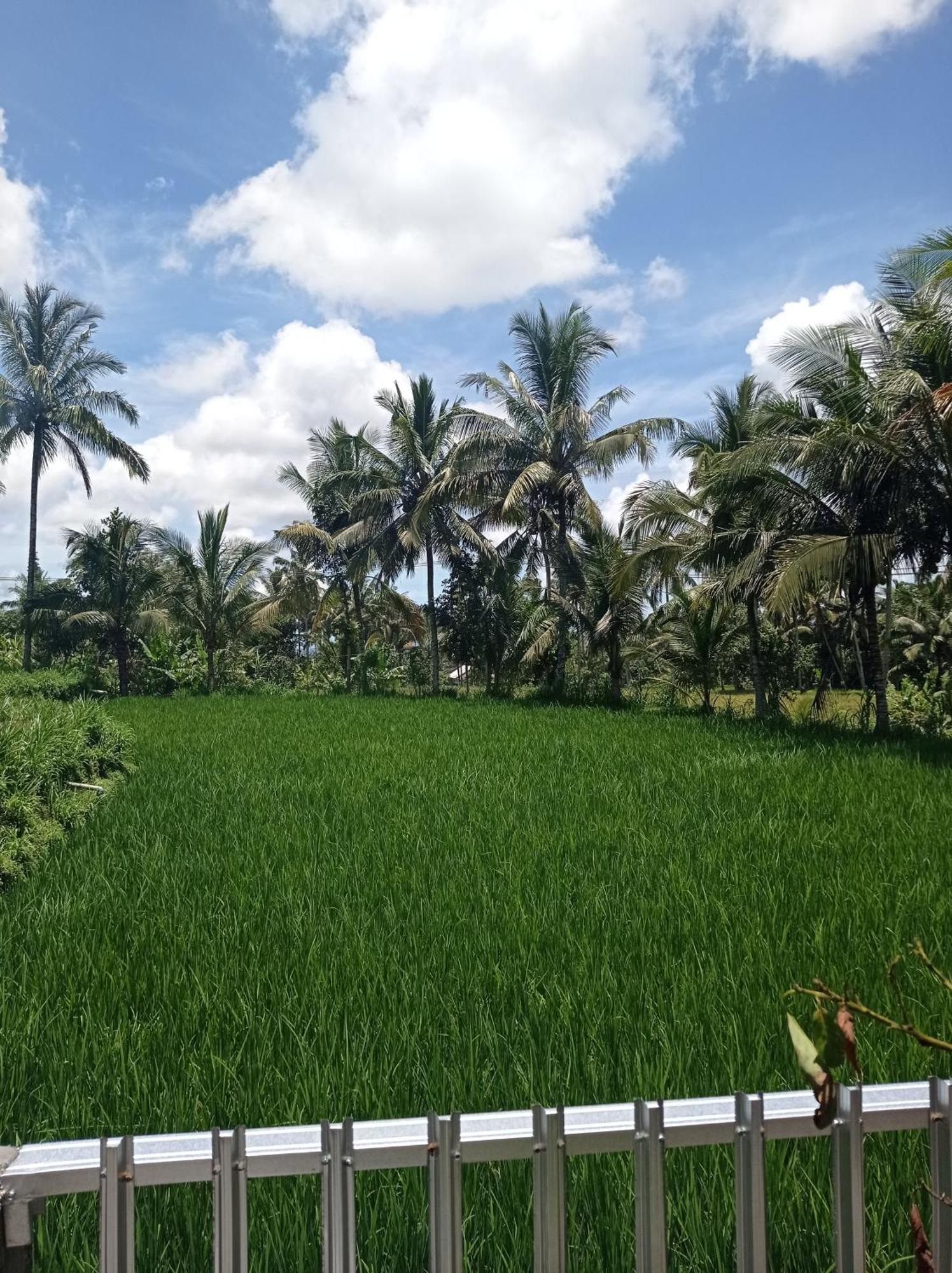 Eltari Homestay Tetebatu Bagian luar foto